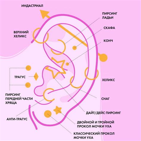 Как правильно выбрать место для проколов ушей