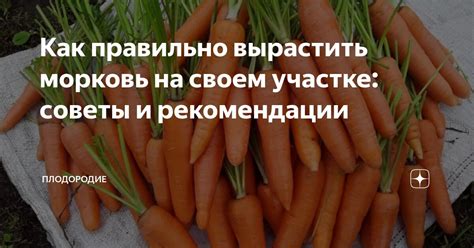 Как правильно использовать советы и рекомендации