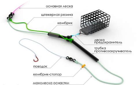 Как правильно настроить фидерную кормушку: важные советы и рекомендации