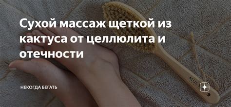 Как правильно проводить массаж ног щеткой от целлюлита