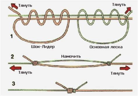 Как правильно связывать узлы на леске