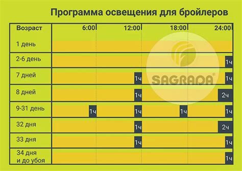 Как правильно синхронизировать расписания для оптимального использования времени