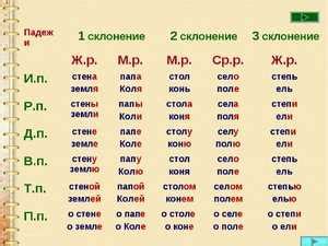 Как правильно склонять слово лису в винительном падеже