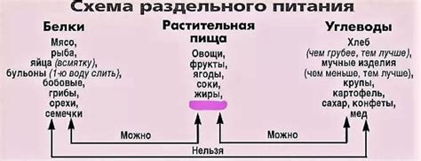 Как правильно сочетать разные продукты с хлебом