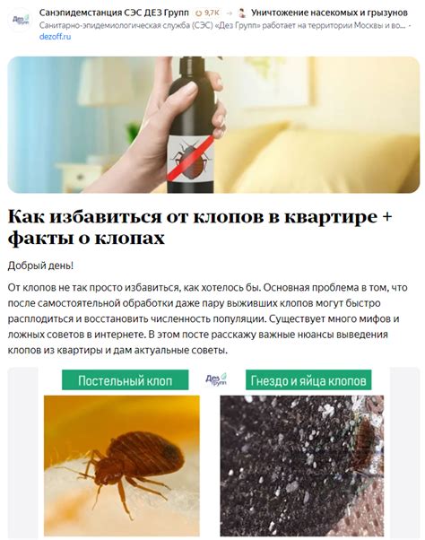 Как предотвратить кошачье царапанье