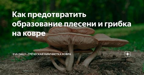 Как предотвратить образование накипи