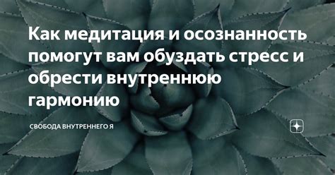 Как преодолеть стресс и найти внутреннюю гармонию