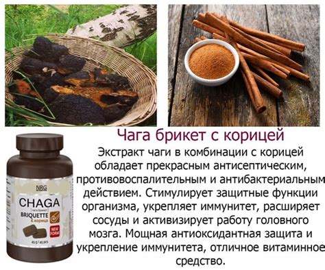 Как принимать чагу и мумие концентрат naturmed