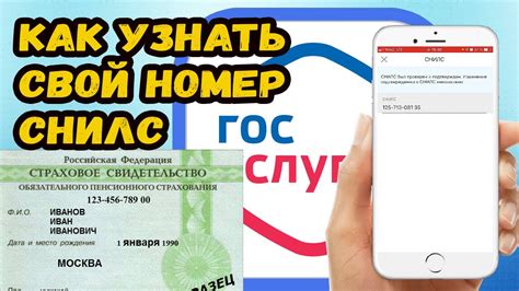 Как проверить СНИЛС таджика: