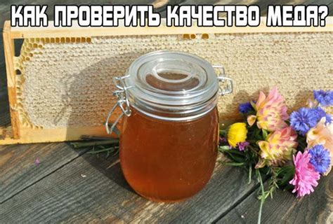 Как проверить гречишный мед на подделку: