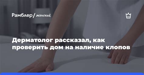 Как проверить дом на наличие ос