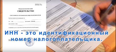 Как проверить правильность регистрации ОКПО