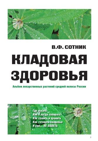 Как происходит плодоношение?