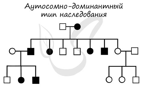 Как проявляется аутосомно доминантный тип наследования?