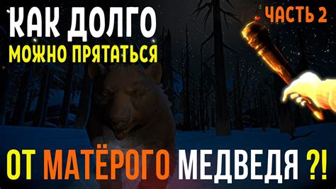 Как прятаться от медведя