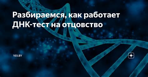 Как работает ДНК тест на отцовство