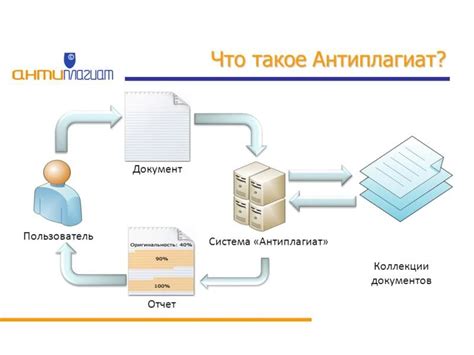 Как работает программа антиплагиат?