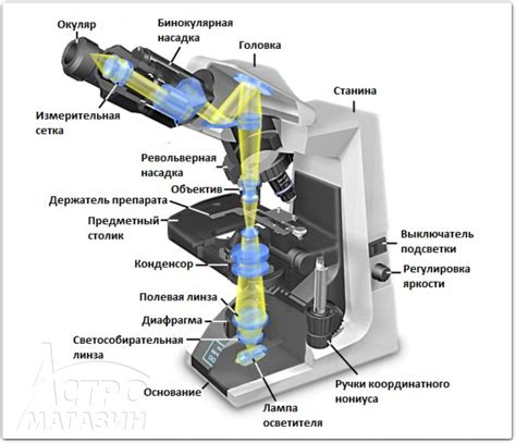 Как работает цифровой микроскоп