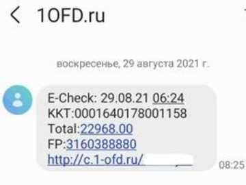 Как работает 1ofd e check