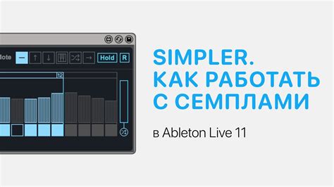 Как работать со сэмплами BMP в Ableton Live