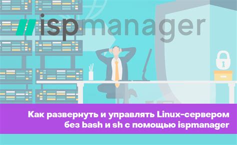 Как работать с блейд-сервером без корзины: полное руководство