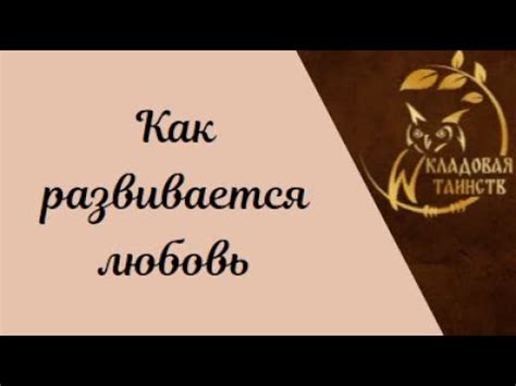 Как развивается любовь