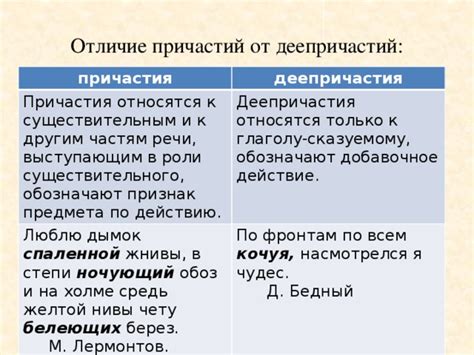 Как различить причастие и деепричастие - правила и отличия