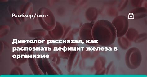 Как распознать дефицит железа и предотвратить развитие анемии