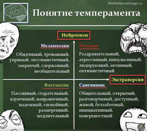 Как распознать флегматика