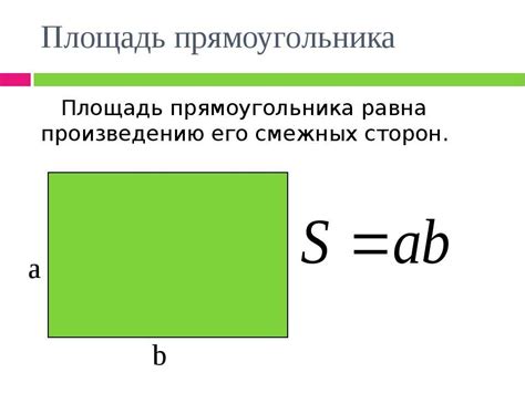 Как рассчитать площадь прямоугольника