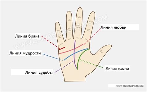 Как расшифровать значения линий на левой ладони руки?