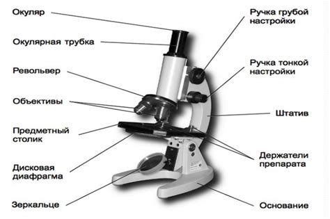 Как световой микроскоп работает