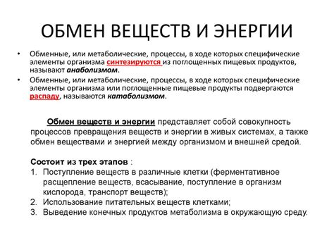 Как свойства сосудов влияют на обмен веществ