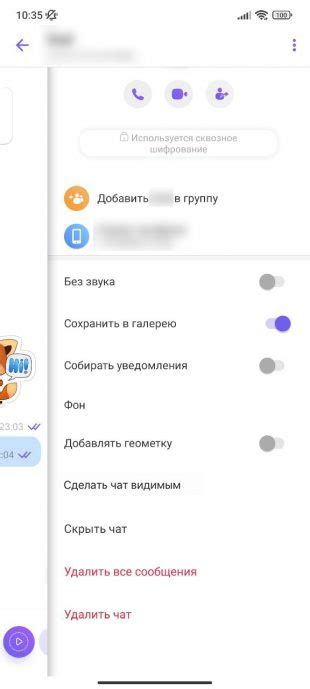 Как скрыть чат в Viber без возможности восстановления