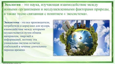 Как создать идеальное экологическое равновесие для стабильного летнего климата