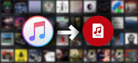 Как сохранить и конвертировать музыку из iTunes без DRM