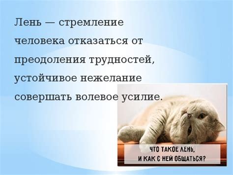 Как стать более продуктивным: 5 способов преодолеть лень