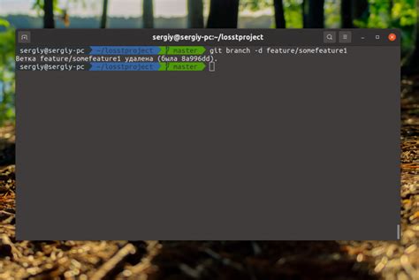 Как удалить ветку локально в Git: быстрые и простые шаги