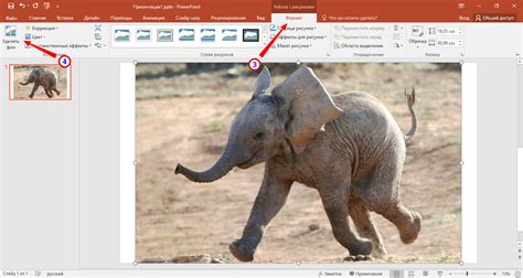 Как удалить задний фон картинки в PowerPoint