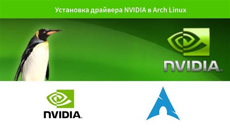 Как узнать версию драйвера NVIDIA на Arch Linux: пошаговая инструкция