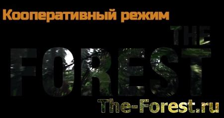 Как узнать версию The Forest Steam