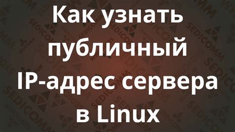 Как узнать публичный IP сервера через веб-браузер