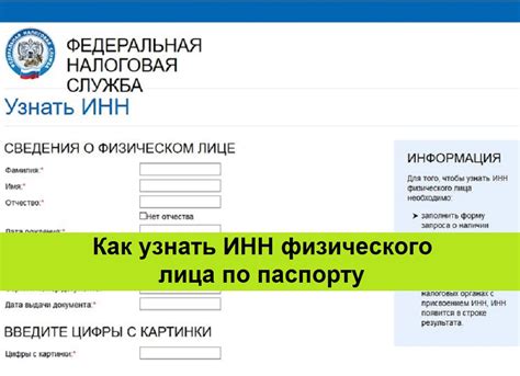 Как узнать размер социальных отчислений по ИНН: подробное руководство