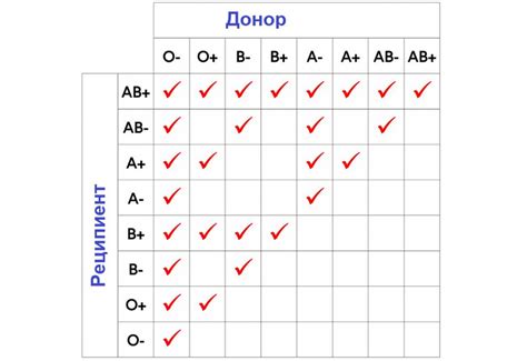 Как узнать свою группу в НовГУ: исчерпывающий гайд