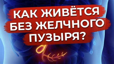 Как укрепить иммунитет без желчного пузыря?