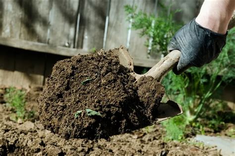 Как улучшить глинистую почву на даче: лучшие способы