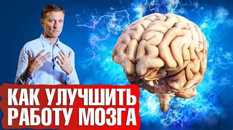 Как улучшить работу дефолт системы мозга: советы от Курпатова