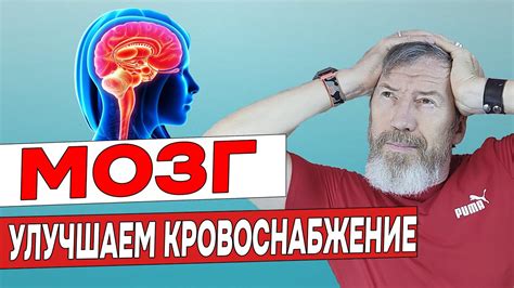 Как улучшить работу памяти: 5 простых важных шагов