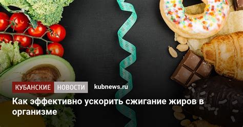 Как улучшить усвоение жиров в организме?