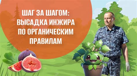 Как уничтожить проволочника органическими методами